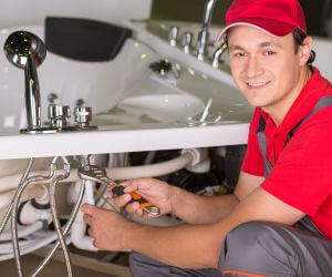 About Septic Pumping Service Taylorsville, CA